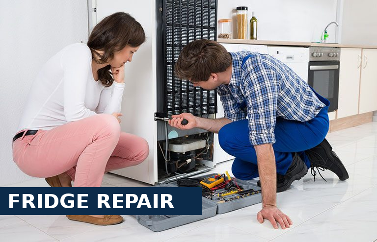 Fridge Repair Pinner